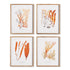 Coral Reef Study, Set Of 4