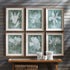 Translucent Floral Prints, Set Of 6 - View 3