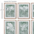TRANSLUCENT FLORAL PRINTS, SET OF 6 - view 2