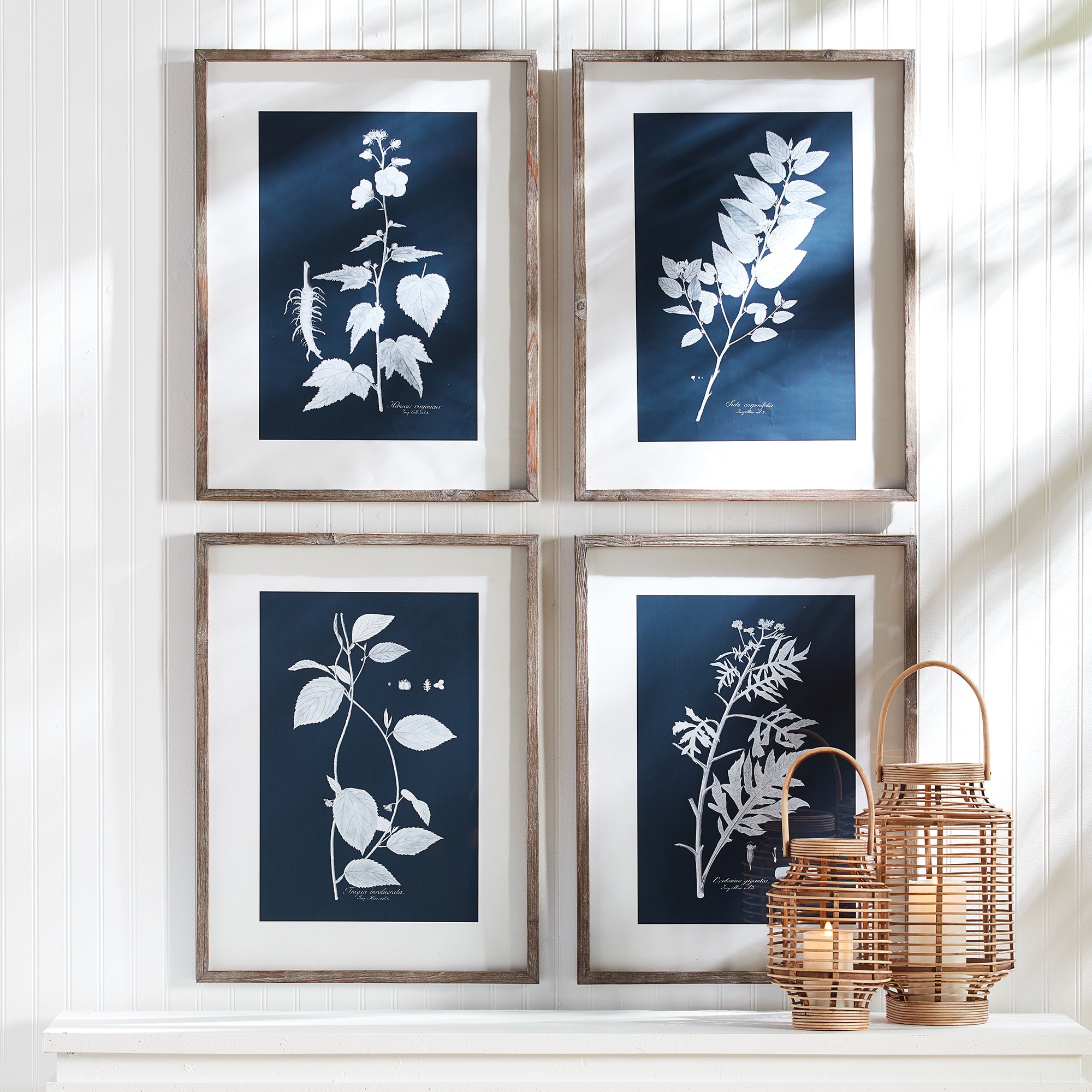 Cyano Botanical Leaf Study, Set Of 4 - View 3