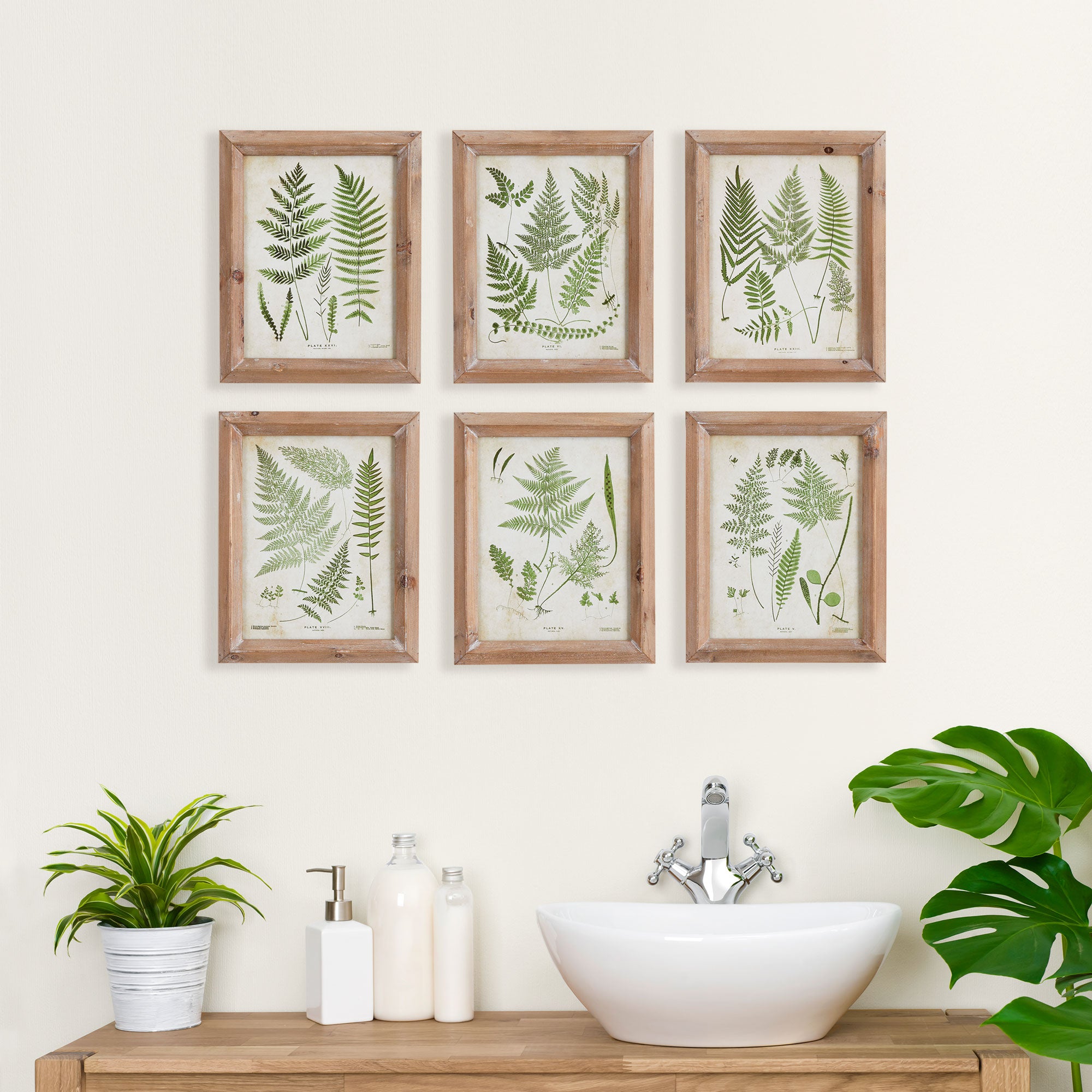 ASSORTED FROND STUDY PETITE, SET OF 6 - view 3