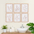 Botanicals In Blush Prints, Set Of 6 - View 4