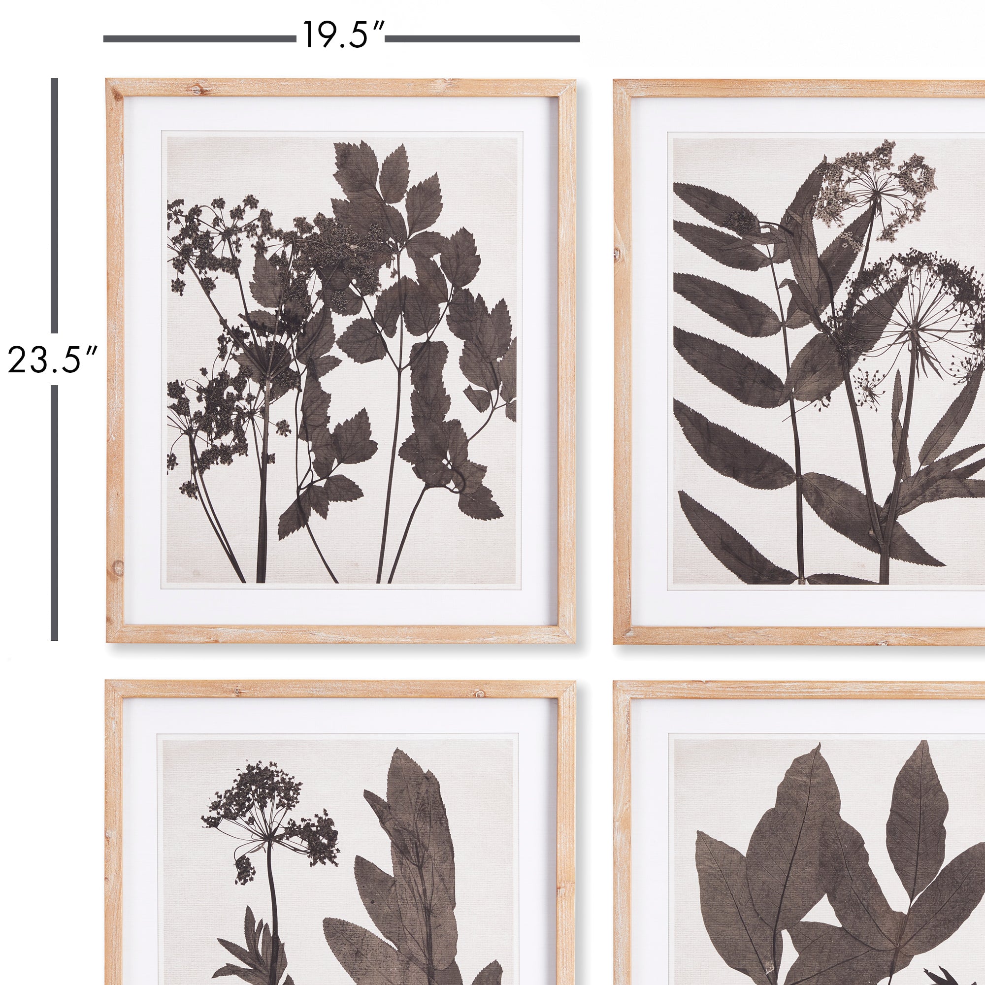 PRESSED FOLIAGE PRINTS, SET OF 4 - view 3