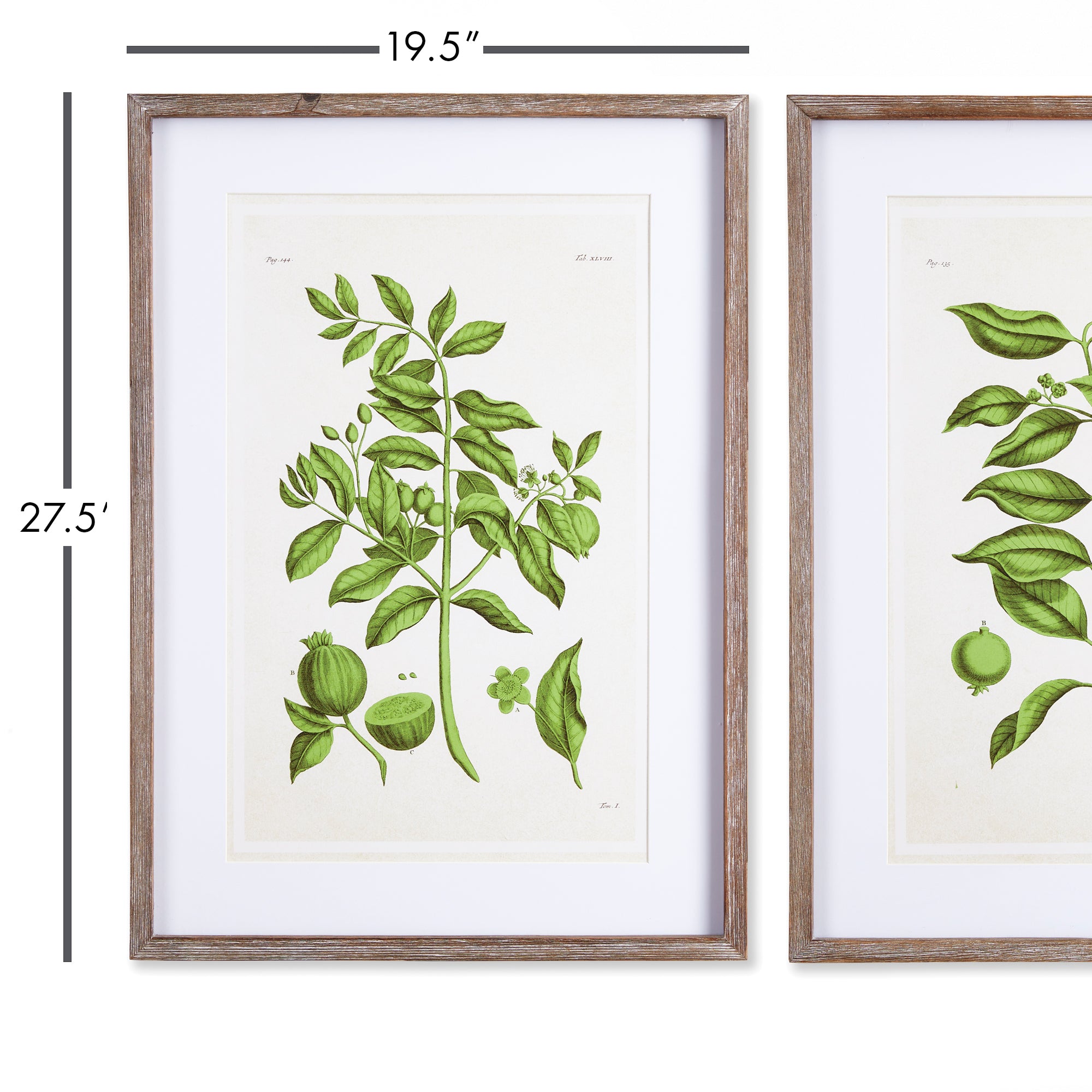 Guava Prints, Set Of 2 - View 3