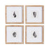 SEASHELL PETITE PRINTS, SET OF 4