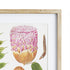 LEAF BOTANICAL STUDY, SET OF 6 - view 4