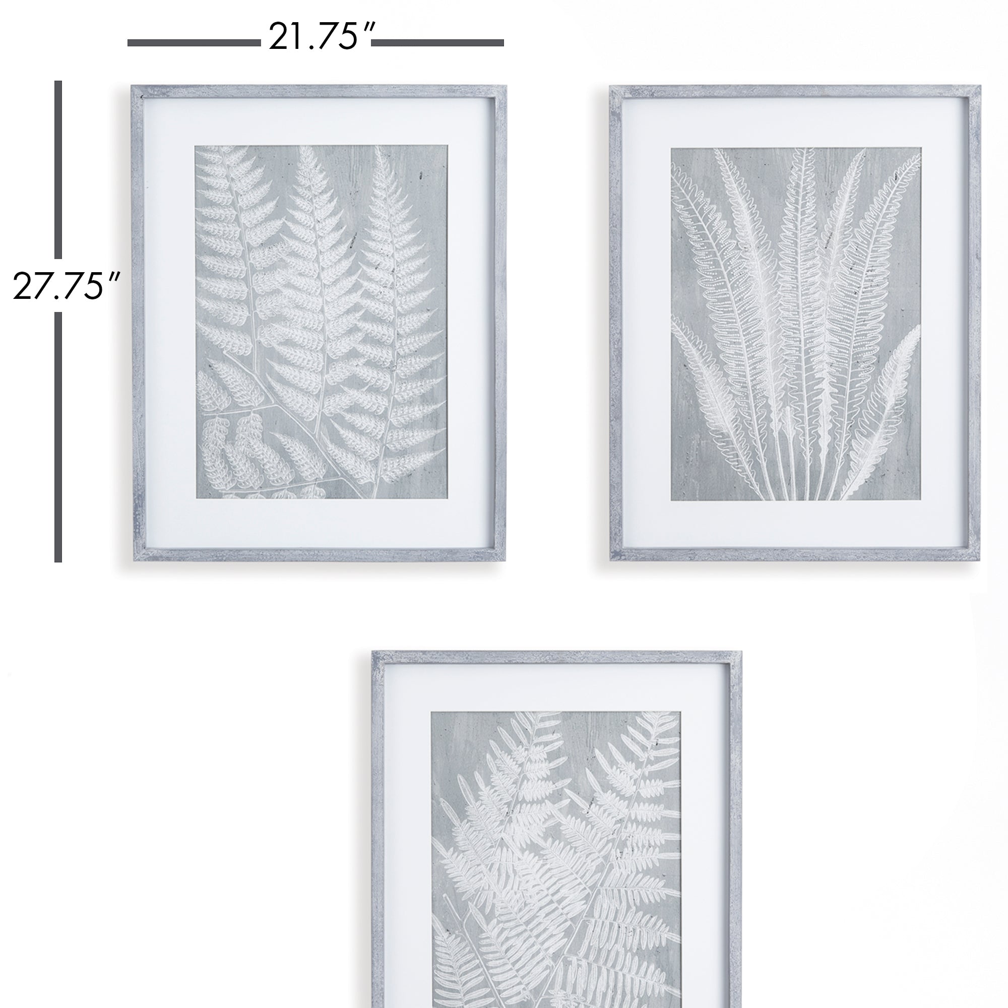 FERN FROND PRINTS, SET OF 3 - view 2