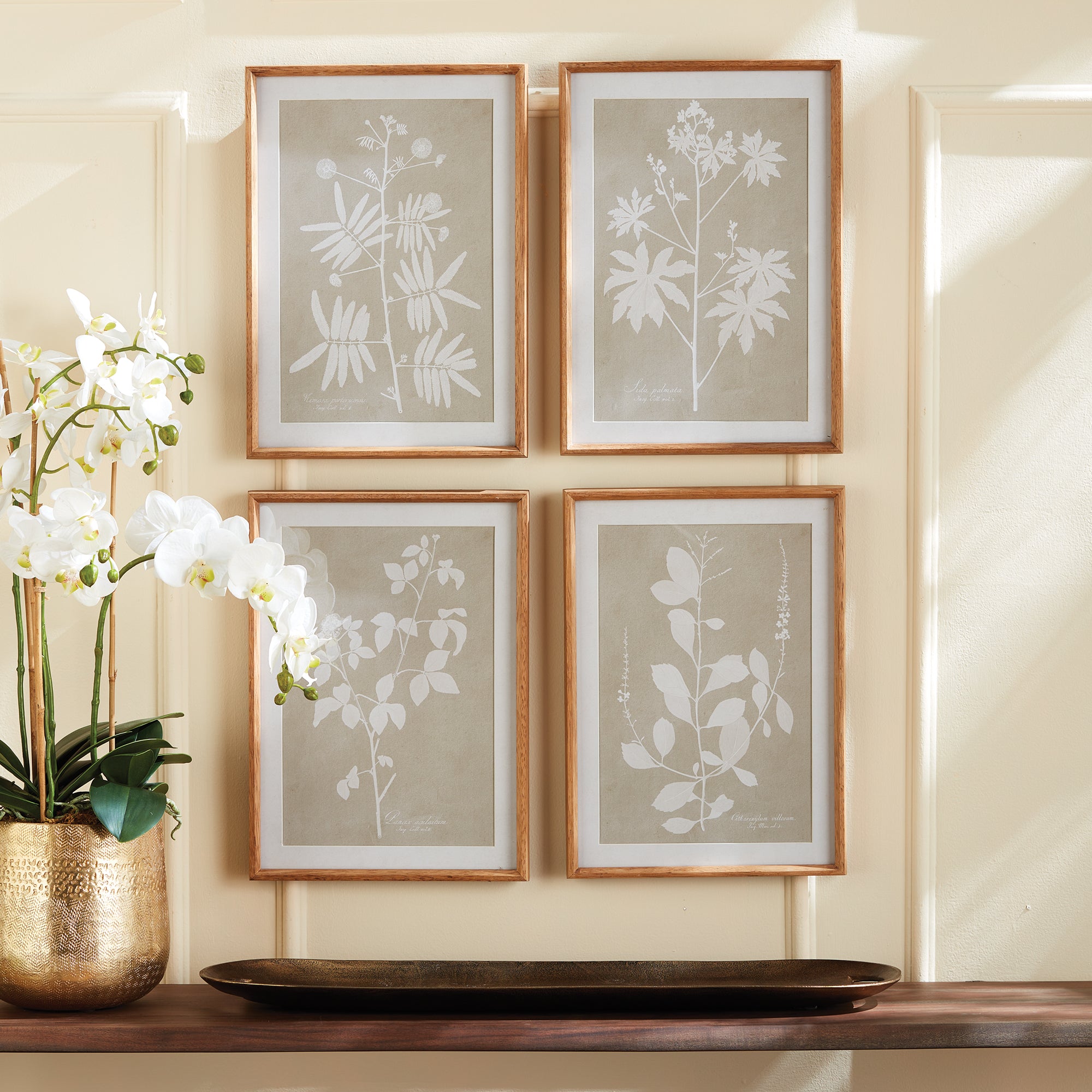 FOLIAGE STUDY, SET OF 4 - view 3