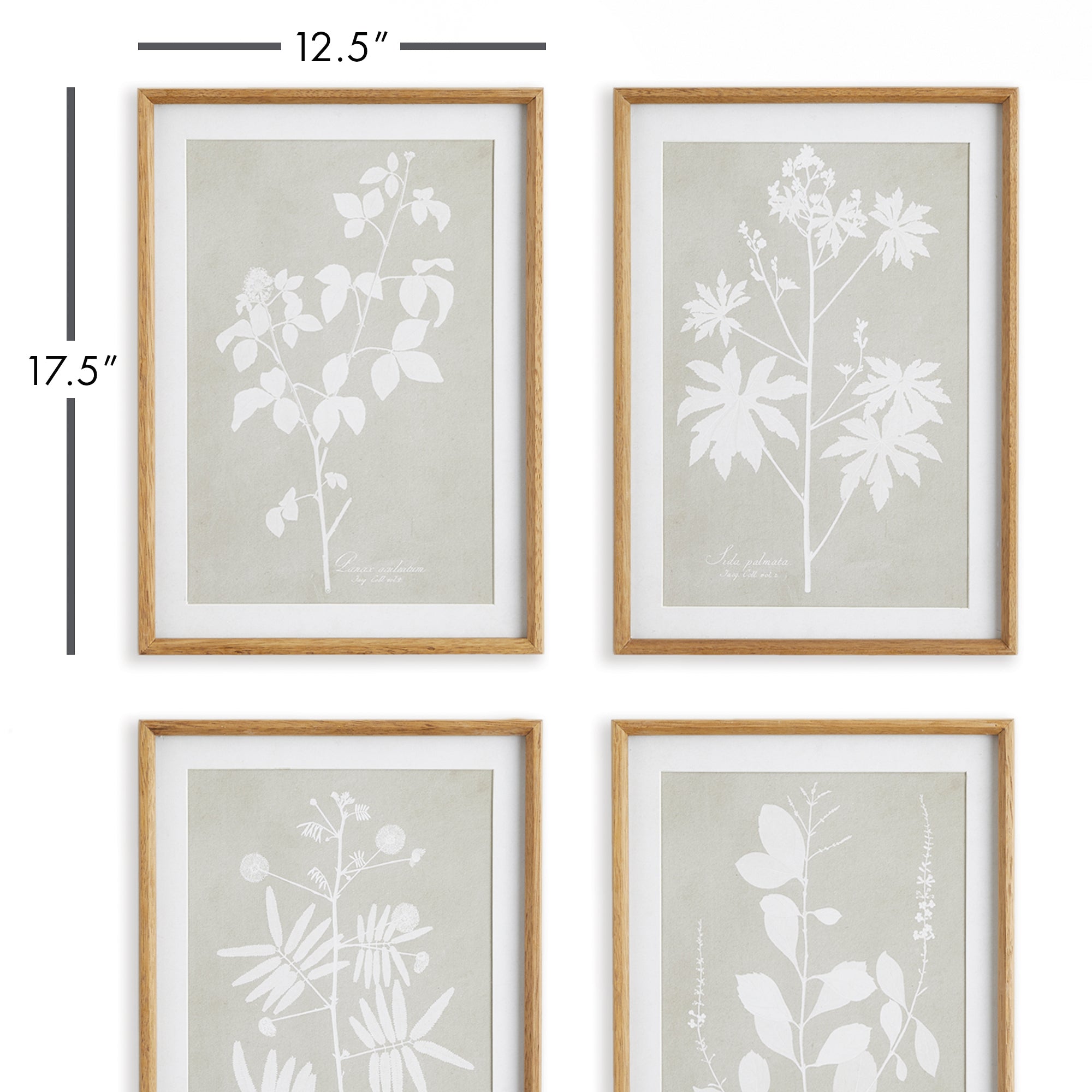 FOLIAGE STUDY, SET OF 4 - view 2