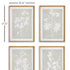 FOLIAGE STUDY, SET OF 4 - view 2