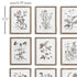 RUSTIC FOLIAGE STUDY, SET OF 9 - view 2