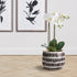UMA HAND-PAINTED POT SMALL - view 2