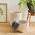 Burma Rattan Orchard Baskets, Set Of 2 - View 5