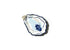 Coton Colors Oyster Platter - A. Dodson's