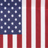 American Mini Flag