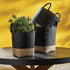 Madura Market Baskets, Set Of 3 - View 5