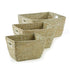 Rivergrass Rectangular Baskets, Set Of 3