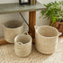 RIVERGRASS ROUND BASKETS WITH HANDLES, SET OF 3 - view 5