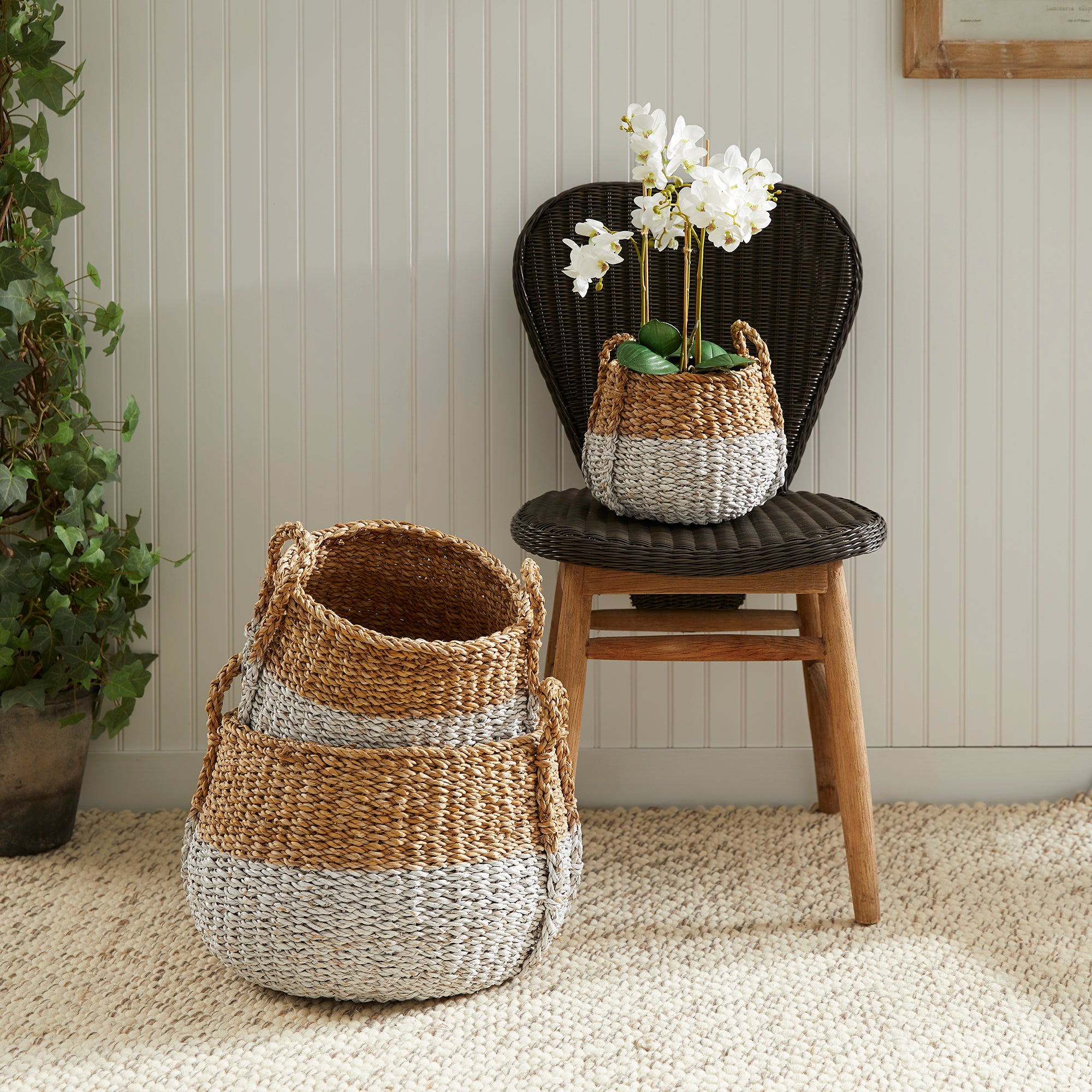 SEAGRASS ROUND BASKETS WITH HANDLES, SET OF 3 - view 3