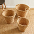 SEAGRASS TAPERED BASKETS WITH HANDLES, SET OF 3 - view 8
