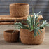 SEAGRASS CYLINDRICAL BASKETS, SET OF 3 - view 2