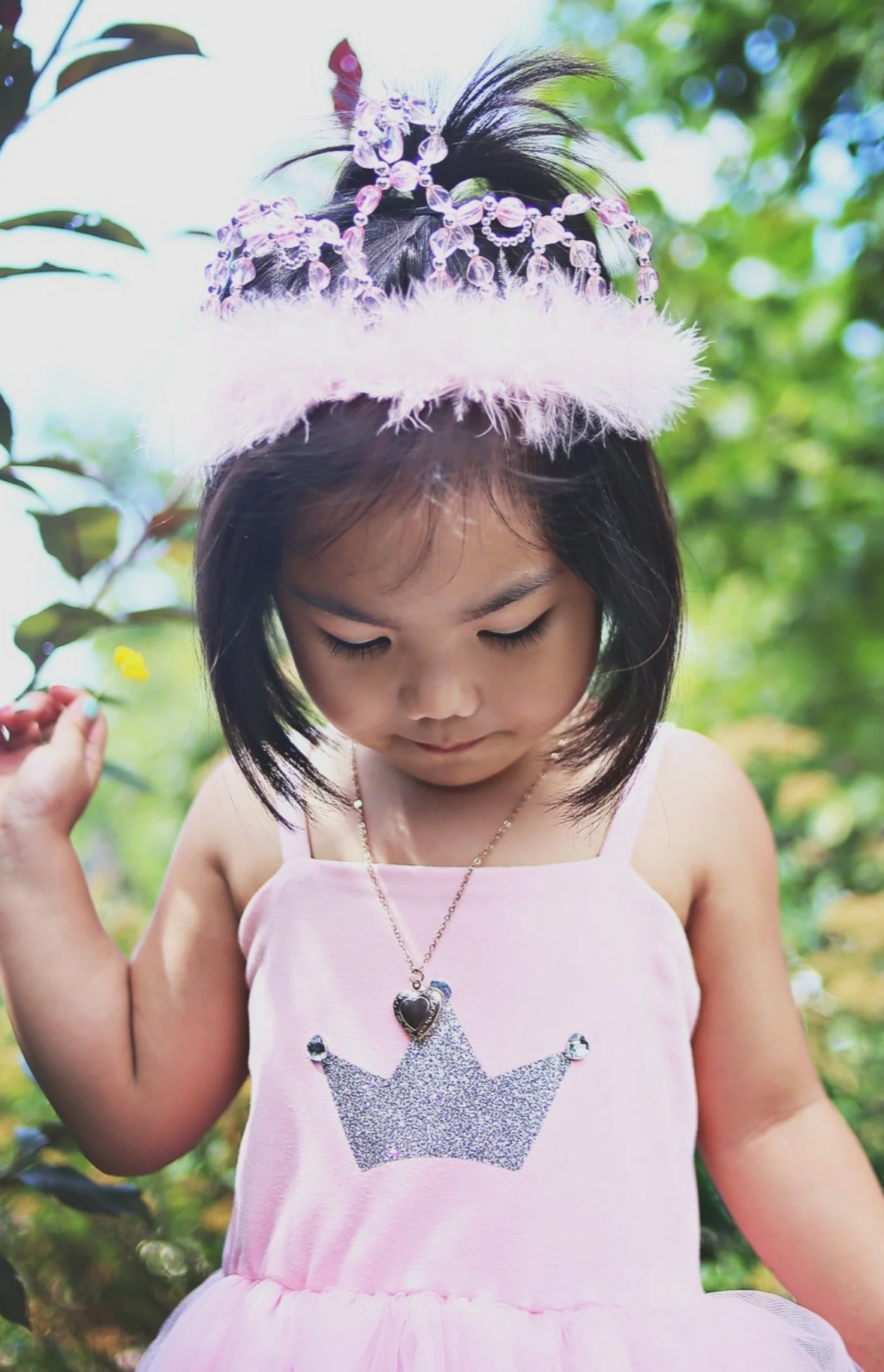 Tiara Princess Pink and Silver - A. Dodson's