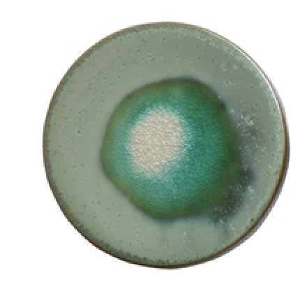 4" ROUND STONEWARE TRIVET/COASTER
