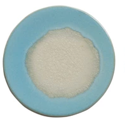 4" ROUND STONEWARE TRIVET/COASTER