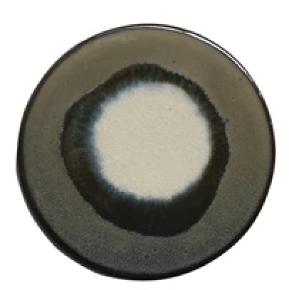 4" ROUND STONEWARE TRIVET/COASTER