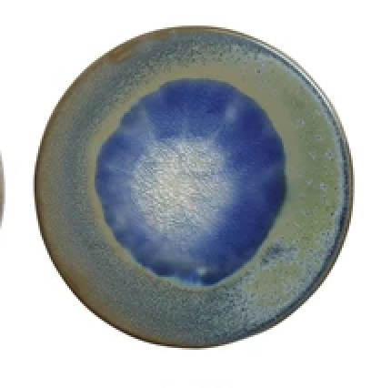 4" ROUND STONEWARE TRIVET/COASTER