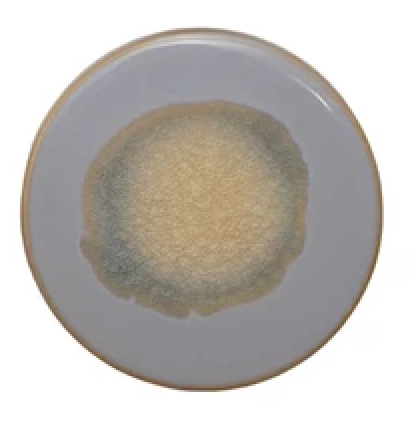 4" ROUND STONEWARE TRIVET/COASTER