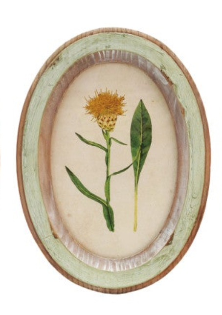 Wood Framed Glass Wall Décor with Flower, 9 Styles