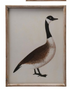 Wood Framed Glass Wall Décor with Bird Images, 6 styles
