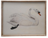 Wood Framed Glass Wall Décor with Bird Images, 6 styles