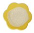 Stoneware Flower Shaped Trivet/Coaster