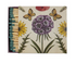 Safety Matches in Matchbox with Animals & Botanicals, 2 Styles