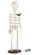 Light Up Skeleton Sitter by Mud Pie
