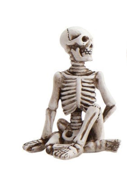 Skeleton in Yoga Pose, 5 Styles
