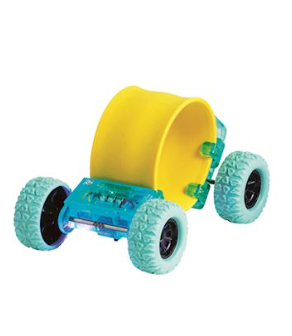 Skateboard Slap Bands by Mud Pie