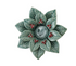 Ceramic Holly Leaves & Berries Shaped Tealight Holder, 2 Styles