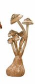 Velvet, Foam & Paper Mushroom - 4 Colors