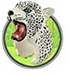 Animal Kingdom: Jungle Rings - A. Dodson's