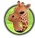 Animal Kingdom: Jungle Rings - A. Dodson's
