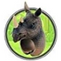 Animal Kingdom: Jungle Rings - A. Dodson's