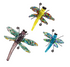 Glass Dragonfly With Iron Feet - 3 Sizes - A. Dodson's