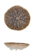 Embossed Stoneware Footed Dish, 2 Colors (Each One Will Vary) - A. Dodson's