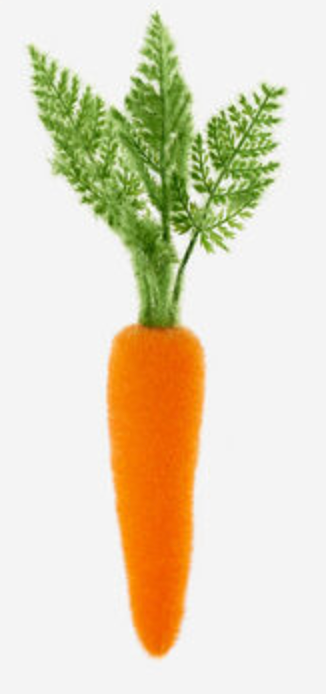 Flocked Orange Carrot, 3 Sizes - A. Dodson's