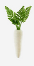 Flocked Colored Carrot, 6 Asst - A. Dodson's