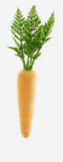 Flocked Colored Carrot, 6 Asst - A. Dodson's