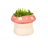 Mushroom Ceramic Planter, 3 Colors - A. Dodson's